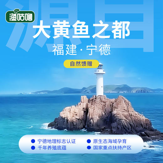 国家地理标志🔥💥不愧是“国鱼”👍【宁德鲜冻大黄鱼】 商品图4