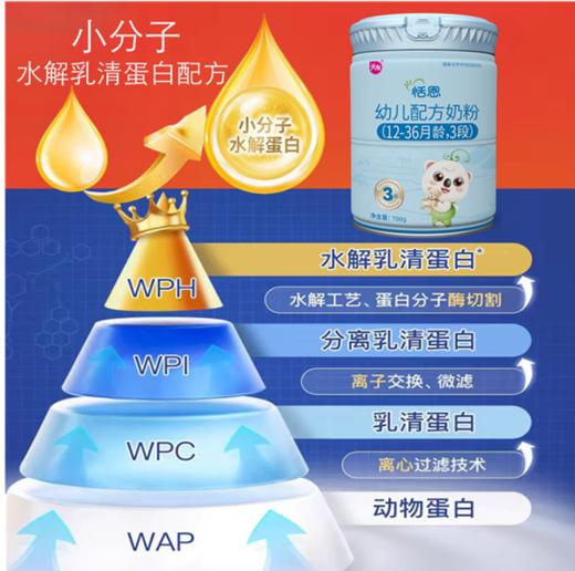 宁夏天友富硒 A2-β酪蛋白 水解三重小分子3段700g 商品图0