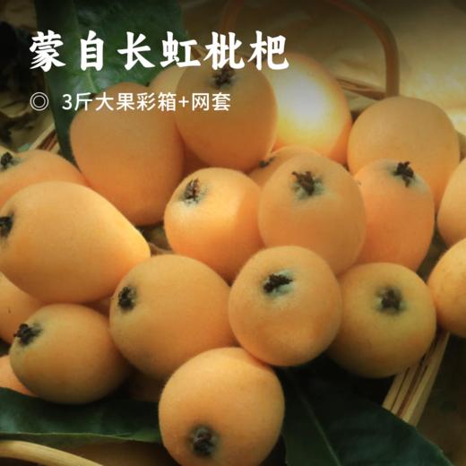 蒙自长虹枇杷 | 高原生态种植 皮薄肉厚核小 清甜爆汁细腻无渣 现摘现发应季鲜果润肺解馋 现摘现发应季鲜果润肺解馋 商品图1