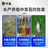 华畜青苔净青苔分解酶鱼塘净水除藻剂不伤害水草鱼虾蟹保苗稳水 商品缩略图1