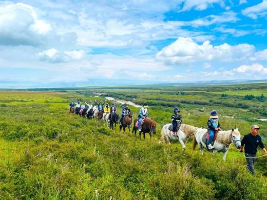 暑假|首发减￥1000！至尊丝路8天7晚亲子营，超奢版青海+敦煌游学！99%不去的小众私藏，霍去病始创的军马场、马蹄寺…天马群饮水、张掖挖丹霞、大漠养骆驼等稀缺体验！25人精致团，动车缩千里！美奢酒店 商品图2