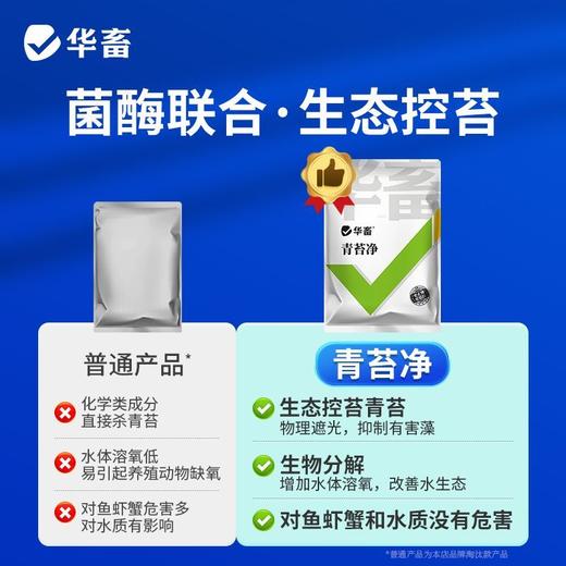华畜青苔净青苔分解酶鱼塘净水除藻剂不伤害水草鱼虾蟹保苗稳水 商品图2