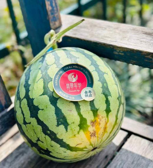翡翠蒂升级版翡翠年华无籽西瓜，脆甜好吃，皮薄多汁，口感脆爽，甜蜜至极	个个优质精挑细选无籽大西瓜，带您体验最高端的西瓜品质。 商品图1