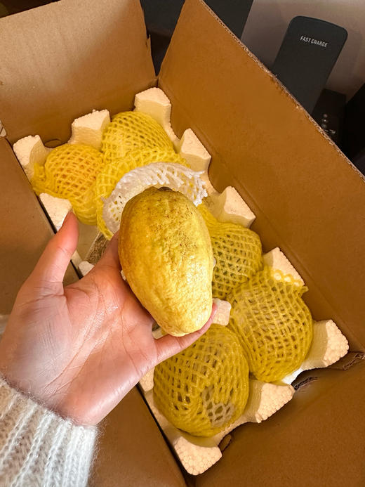 【奶油芭乐】 独特的海边盐碱地种植 肉质饱满多汁 冰淇淋口感释放浓郁甘甜 商品图3