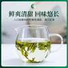 2026年头采西湖龙井 | 这一口鲜，等了整整一年，明杭龙井茶明杭龙井茶 （赠：感温杯） 商品缩略图5