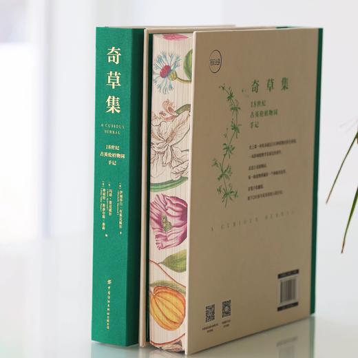 【刷边版】奇草集 商品图0