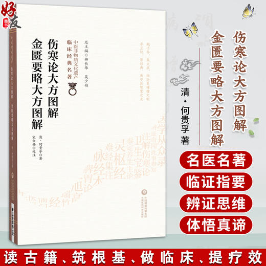 伤寒论大方图解 金匮要略大方图解 中医非物质文化遗产临床经典名著 清 何貴孚 著 宋白杨 校注 9787521459319 中国医药科技出版社 商品图0