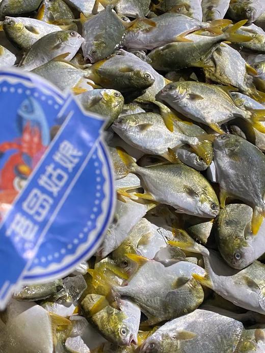 L''今日推荐【海捕大金鲳鱼】招牌家常吃鱼推荐，手慢🈚，新鲜活冻 商品图2