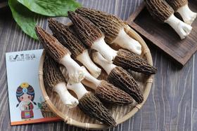 【顺丰空运】2026春日采集，云南高山新鲜野生羊肚菌 精品羊肚菌基地直邮