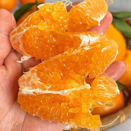 石家庄优选仓库速达，糖包&春见耙耙柑，果肉细腻，颗粒分明，清甜爆汁，入口化渣，净重6.5-6.8斤礼盒装 商品图4