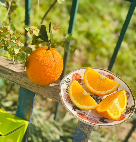 南橙山脐橙礼盒，绿色包装超清新😍果肉饱满、口感清甜，富含维C，适合节日送礼或家庭日常享用~ 商品图3