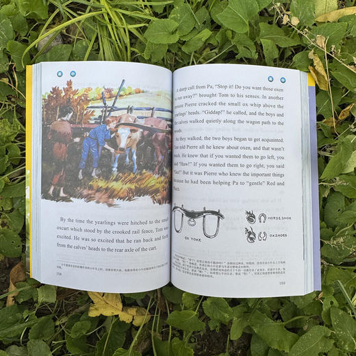 立体英语分级阅读（原版阅读+原版练习+原版音频，扫码听音频看视频，支持多款点读笔点读） 商品图9