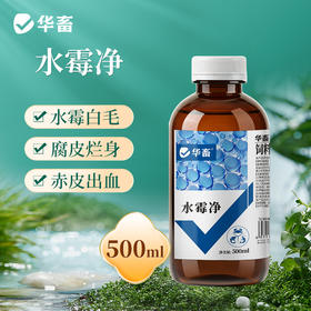 华畜水霉净鱼药鱼塘烂身烂尾水霉病净清消毒杀菌水产养殖治疗