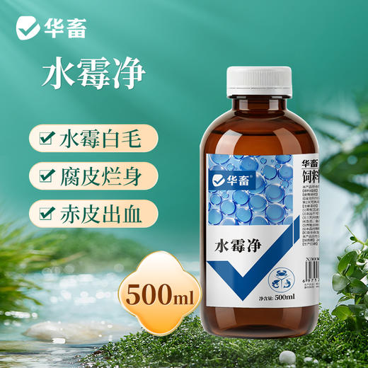 华畜水霉净鱼药鱼塘烂身烂尾水霉病净清消毒杀菌水产养殖治疗 商品图0