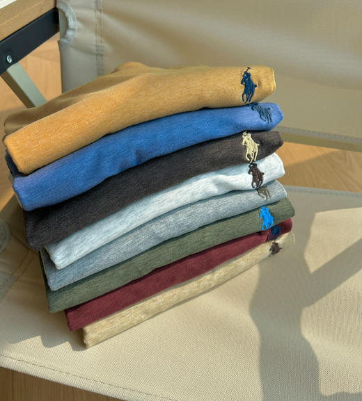 拉夫劳伦小马刺绣圆领花纱短袖tee031302 商品图9