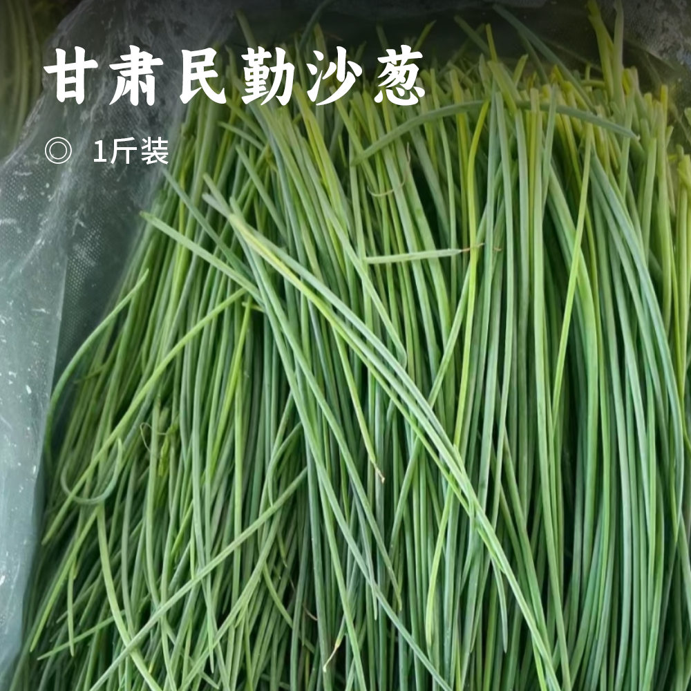 甘肃民勤沙葱 | 沙漠里的“翡翠鲜蔬” !一口脆嫩，满嘴清香 ! 葱味十足色泽深绿,凉拌开胃入馅提香!