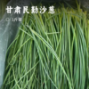 甘肃民勤沙葱 | 沙漠里的“翡翠鲜蔬” !一口脆嫩，满嘴清香 ! 葱味十足色泽深绿,凉拌开胃入馅提香! 商品缩略图0