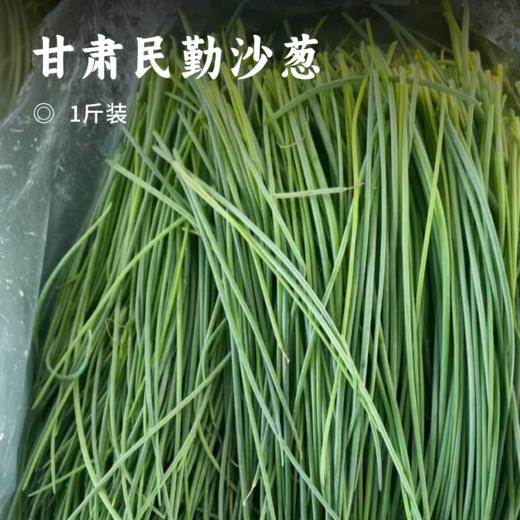 甘肃民勤沙葱 | 沙漠里的“翡翠鲜蔬” !一口脆嫩，满嘴清香 ! 葱味十足色泽深绿,凉拌开胃入馅提香! 商品图0