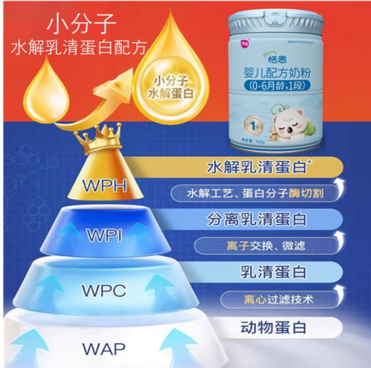 宁夏天友富硒 A2-β酪蛋白 水解三重小分子1段700g 商品图0