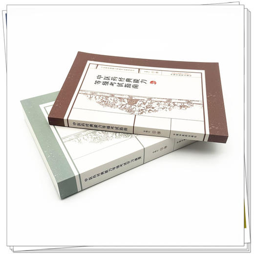 【套装2本】中医药经典能力等级考试指南+备要（一二三级）谷晓红 主编（全三级考试指导用书）内经伤寒论金匮要略温病学四大经典 商品图3