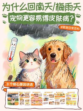 小知识13-为什么回南天/梅雨天🌧️宠物更容易得皮肤病