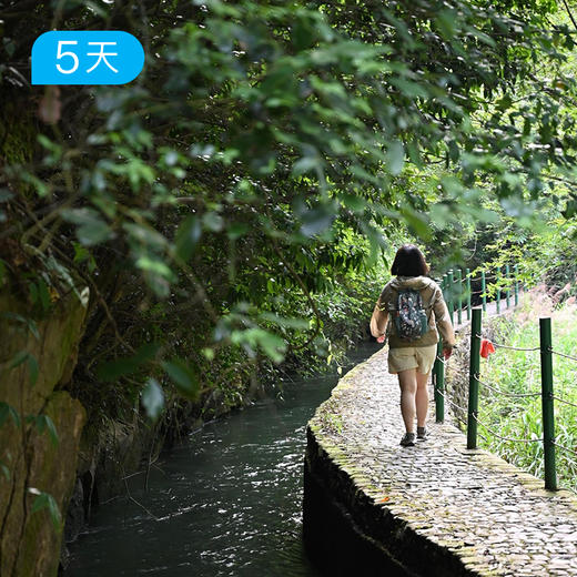 富春山居徒 | 打卡黄公望同款 人文讲师随行  16人精品小团 | 4日 商品图2