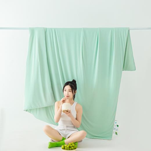 【品牌直发】加倍生活  夏季新款凉感丝夏被-薄荷系列  全新升级双面可用空调被 亲肤柔软夏凉被 商品图2