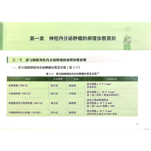 神经内分泌肿瘤2025诊疗指南 赵宏 依荷芭丽.迟 赵东兵 中国医疗保健国际交流促进会神经内分泌肿瘤学分会CNETS科学技术文献出版社 商品图4