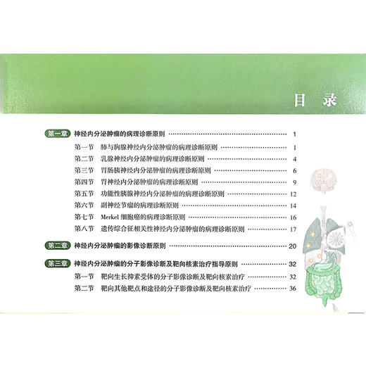 神经内分泌肿瘤2025诊疗指南 赵宏 依荷芭丽.迟 赵东兵 中国医疗保健国际交流促进会神经内分泌肿瘤学分会CNETS科学技术文献出版社 商品图3