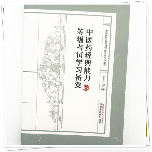 中医药经典能力等级考试学习备要（一二三级）谷晓红 主编（全三级考试指导用书）习题集 内经伤寒论金匮要略温病学四大经典 商品图3