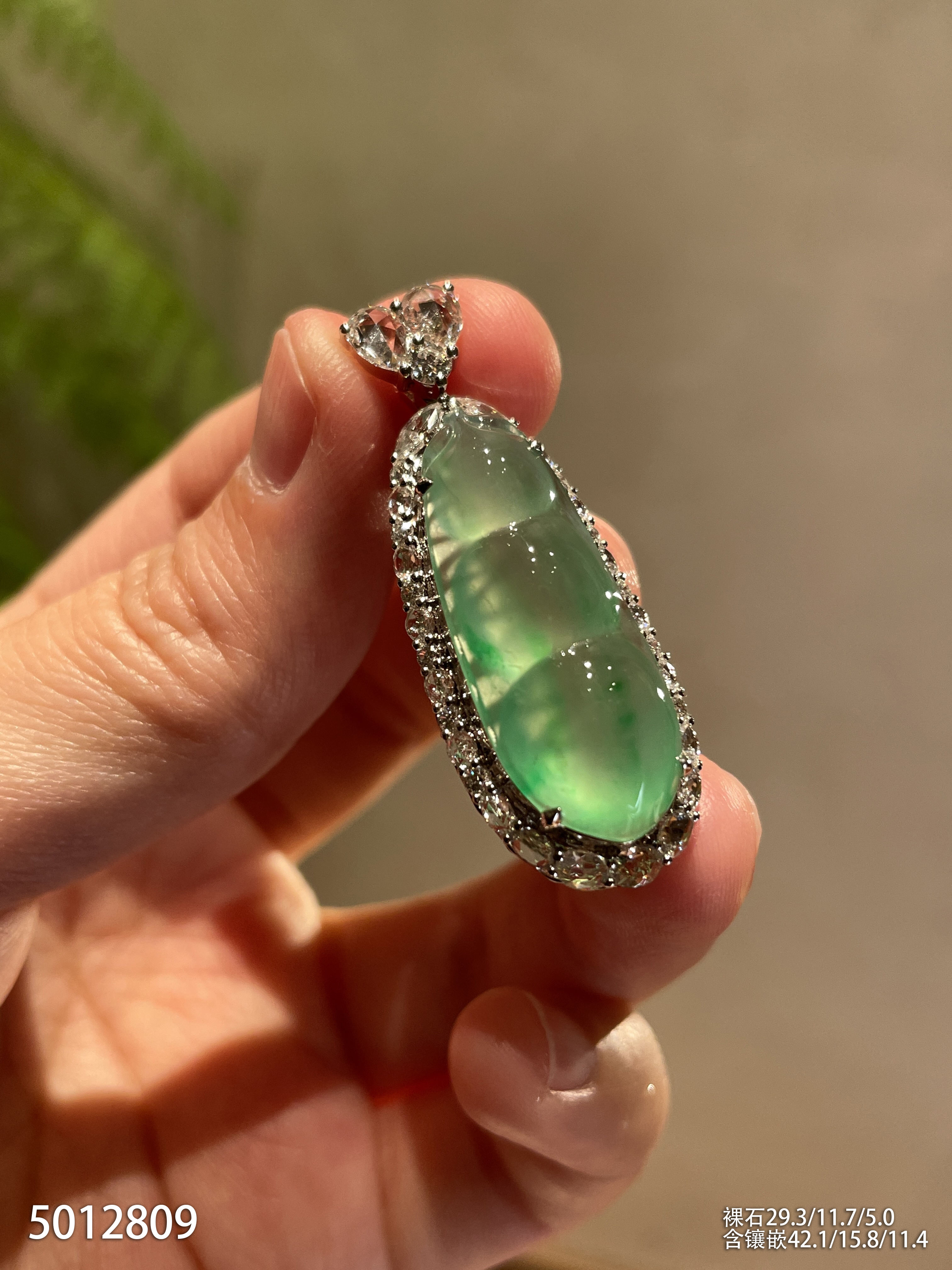 玻璃种艳绿福豆吊坠【5012809】具体价格微信咨询