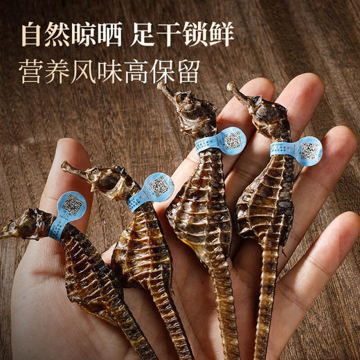 【福东海 福建海马】 一公一母 三洗三晒 自然晾干 商品图4