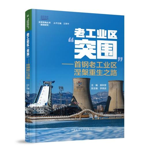 （任选）北咨咨询丛书 商品图9