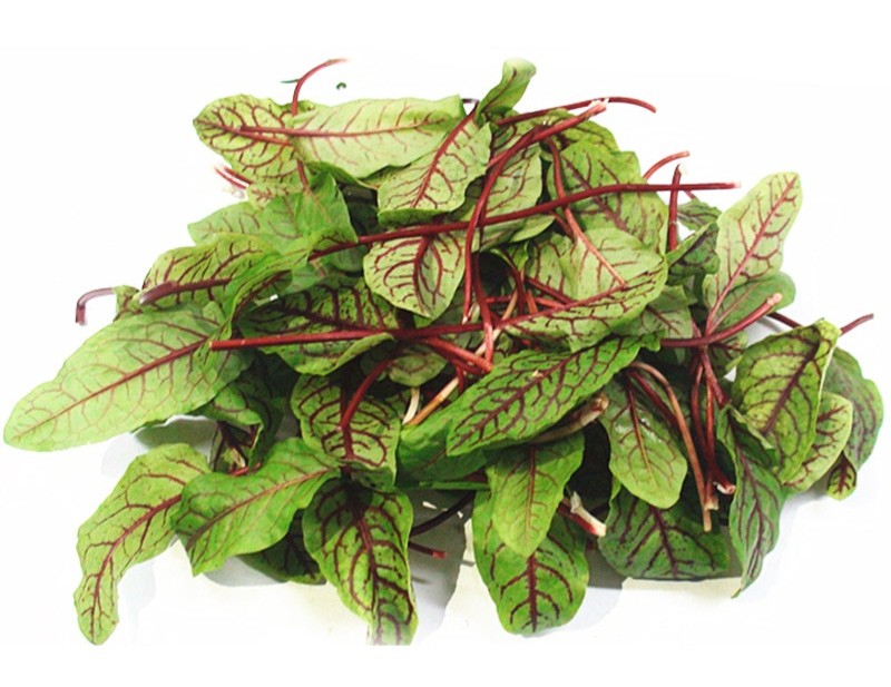 水培酸膜叶（一盒）