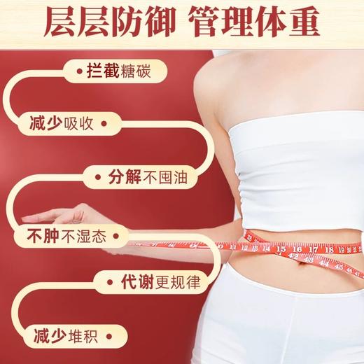 日本欧力喜乐乌龙路易波士懒人茶乌龙茶茶包 48袋/60袋各款 商品图3