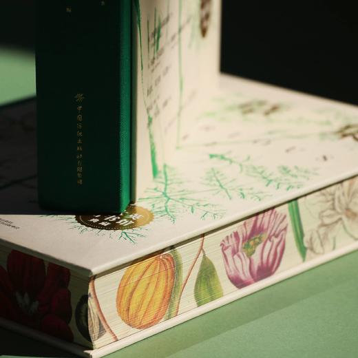 【刷边版】奇草集 商品图1