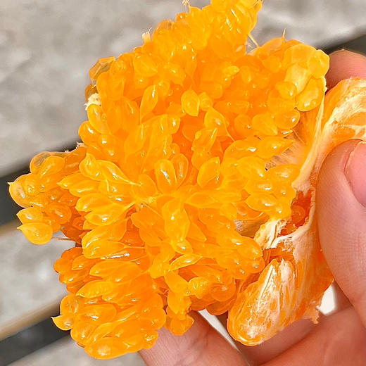 石家庄优选仓库速达，糖包&春见耙耙柑，果肉细腻，颗粒分明，清甜爆汁，入口化渣，净重6.5-6.8斤礼盒装 商品图1