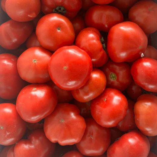 【顺丰发货】红宝石高糖西红柿番茄 口感绝佳！甜度高达9.8以上 自然成熟采摘 鲜嫩多汁 商品图1