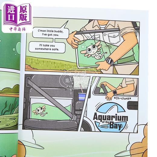 预售 【中商原版】小蝾螈麦克斯 图画小说 英文原版 Max a Little Axolotl 1 An Original Graphic Novel Joey Spiotto 商品图2