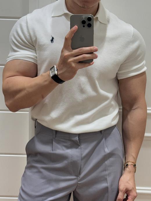 四色！独家纱线，诸城中纺订单，拉夫劳伦老钱风男士小马刺绣针织Polo短袖 商品图5