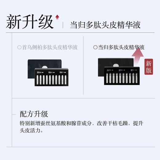 【新升级】羽心堂 当归多肽头皮精华 5ml*10支/盒 首乌安瓶 首乌头皮精华 商品图2