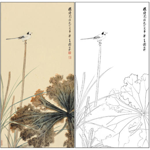 谢稚柳花鸟荷花翠鸟工笔画白描底稿《秋塘图》临摹勾线高清打印稿XZ54 商品图0