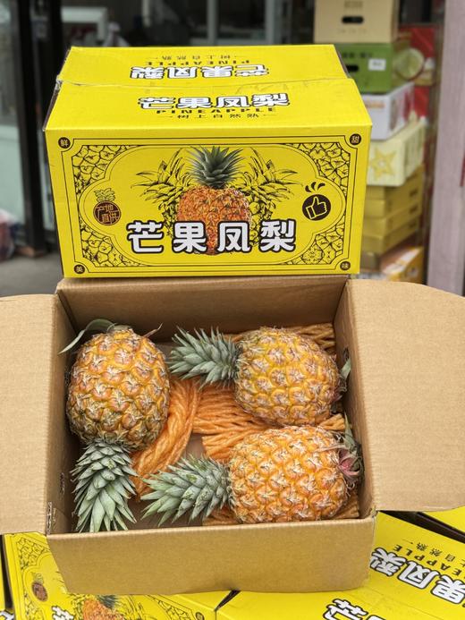 海南树熟芒果凤梨 商品图6