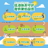 佳沛（zespri）新西兰 新果季 阳光金奇异果10粒巨大果单果146-175g 猕猴桃 商品缩略图0