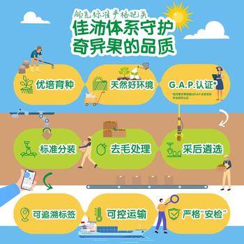 佳沛（zespri）新西兰 新果季 阳光金奇异果10粒巨大果单果146-175g 猕猴桃 商品图0