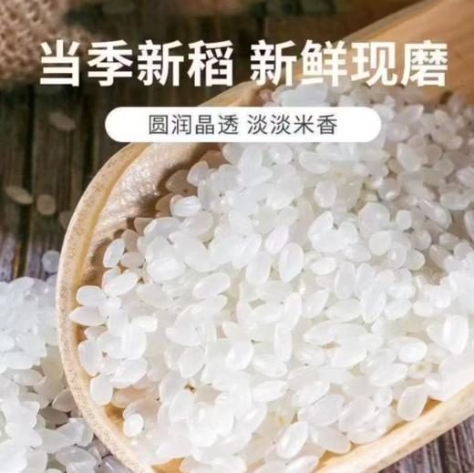 【HMY】如意道小町香米25kg 商品图2