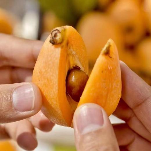 有机高山枇杷 商品图1