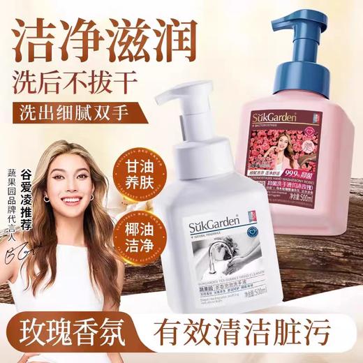 蔬果园抑菌洗手液（乌木玫瑰）500ml泡泡洗手液 商品图0