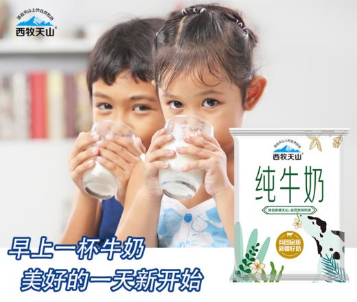国家喊你加奶啦~【新疆牛的奶】新疆西牧天山全脂袋装纯牛奶 200ml×20袋 纯净牧场 奶味浓郁 商品图1