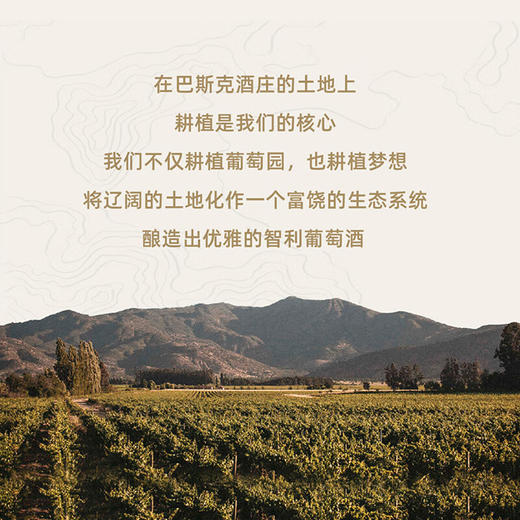 巴斯克科洛源自拉菲罗斯柴尔德珍藏品丽珠红葡萄酒750ml 商品图4